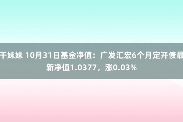 干妹妹 10月31日基金净值：广发汇宏6个月定开债最新净值1.0377，涨0.03%