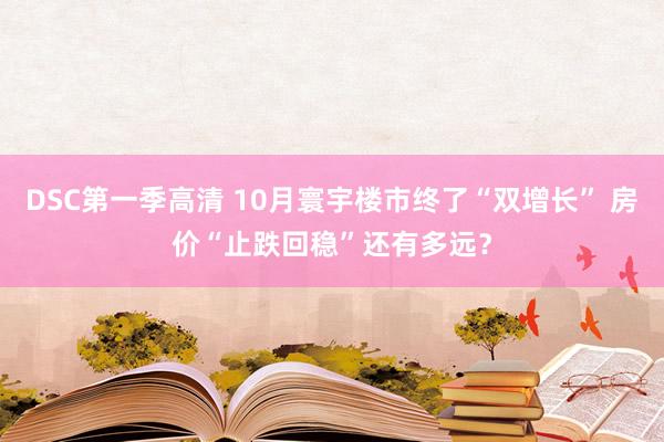 DSC第一季高清 10月寰宇楼市终了“双增长” 房价“止跌回稳”还有多远？