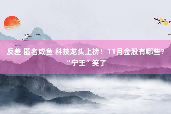 反差 匿名咸鱼 科技龙头上榜！11月金股有哪些？“宁王”笑了