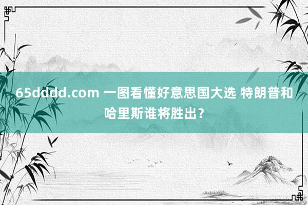 65dddd.com 一图看懂好意思国大选 特朗普和哈里斯谁将胜出？