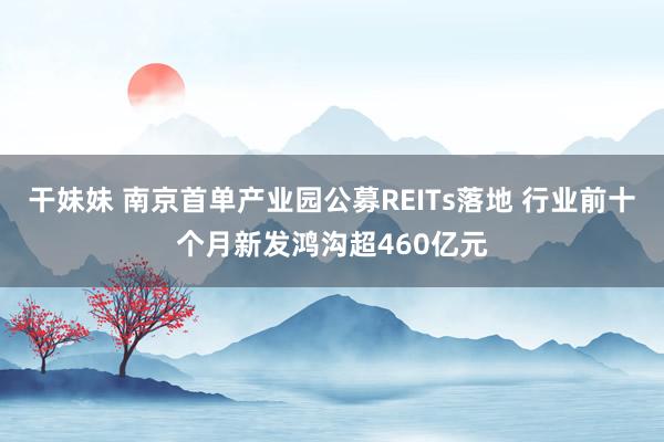 干妹妹 南京首单产业园公募REITs落地 行业前十个月新发鸿沟超460亿元