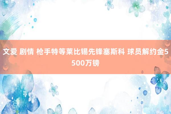 文爱 剧情 枪手特等莱比锡先锋塞斯科 球员解约金5500万镑