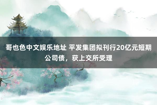 哥也色中文娱乐地址 平发集团拟刊行20亿元短期公司债，获上交所受理