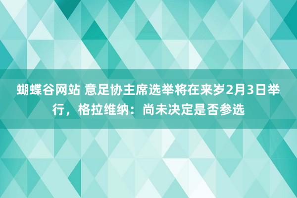 蝴蝶谷网站 意足协主席选举将在来岁2月3日举行，格拉维纳：尚未决定是否参选