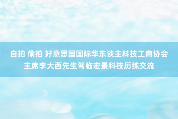 自拍 偷拍 好意思国国际华东谈主科技工商协会主席李大西先生驾临宏景科技历练交流