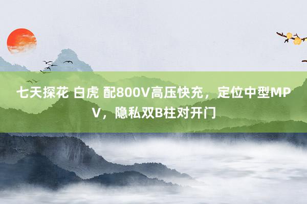 七天探花 白虎 配800V高压快充，定位中型MPV，隐私双B柱对开门