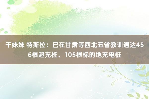 干妹妹 特斯拉：已在甘肃等西北五省教训通达456根超充桩、105根标的地充电桩