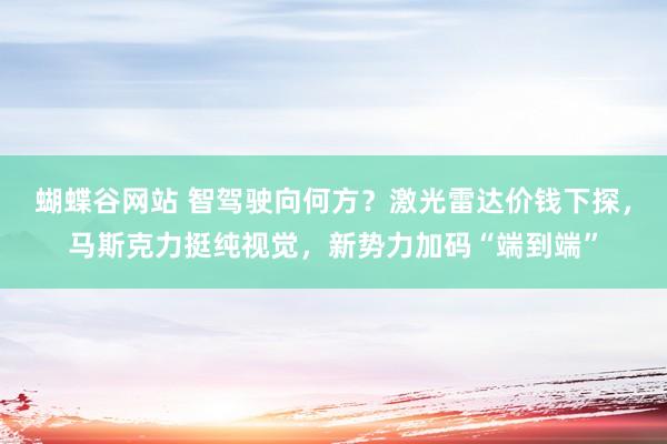 蝴蝶谷网站 智驾驶向何方？激光雷达价钱下探，马斯克力挺纯视觉，新势力加码“端到端”