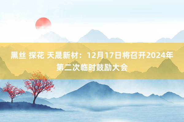 黑丝 探花 天晟新材：12月17日将召开2024年第二次临时鼓励大会