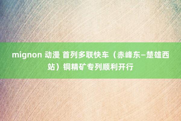 mignon 动漫 首列多联快车（赤峰东—楚雄西站）铜精矿专列顺利开行