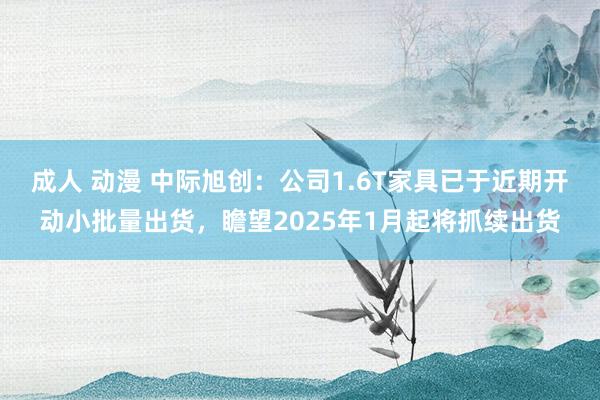成人 动漫 中际旭创：公司1.6T家具已于近期开动小批量出货，瞻望2025年1月起将抓续出货