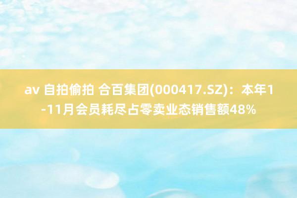 av 自拍偷拍 合百集团(000417.SZ)：本年1-11月会员耗尽占零卖业态销售额48%