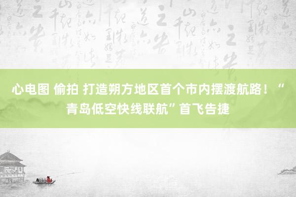 心电图 偷拍 打造朔方地区首个市内摆渡航路！“青岛低空快线联航”首飞告捷