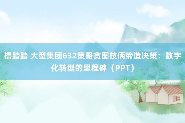 撸踏踏 大型集团632策略贪图技俩缔造决策：数字化转型的里程碑（PPT）