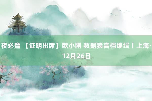 夜必撸 【证明出席】欧小刚 数据猿高档编缉丨上海·12月26日