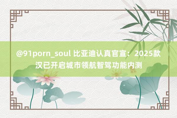 @91porn_soul 比亚迪认真官宣：2025款汉已开启城市领航智驾功能内测