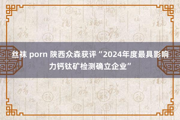 丝袜 porn 陕西众森获评“2024年度最具影响力钙钛矿检测确立企业”