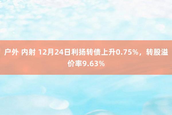 户外 内射 12月24日利扬转债上升0.75%，转股溢价率9.63%