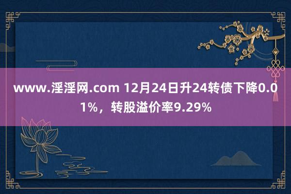 www.淫淫网.com 12月24日升24转债下降0.01%，转股溢价率9.29%