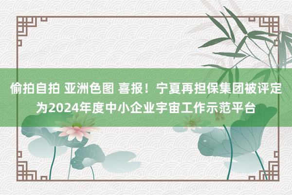 偷拍自拍 亚洲色图 喜报！宁夏再担保集团被评定为2024年度中小企业宇宙工作示范平台