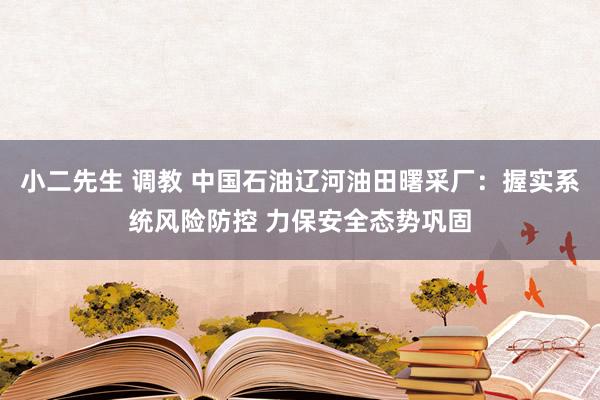 小二先生 调教 中国石油辽河油田曙采厂：握实系统风险防控 力保安全态势巩固