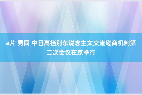 a片 男同 中日高档别东说念主文交流磋商机制第二次会议在京举行