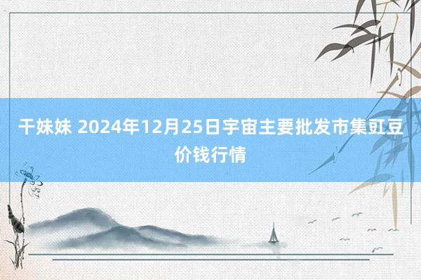 干妹妹 2024年12月25日宇宙主要批发市集豇豆价钱行情