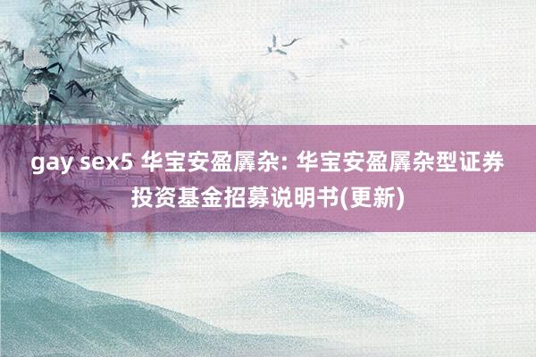 gay sex5 华宝安盈羼杂: 华宝安盈羼杂型证券投资基金招募说明书(更新)