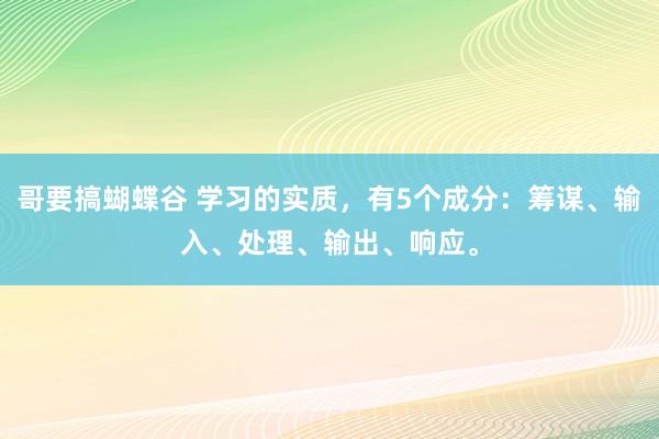 哥要搞蝴蝶谷 学习的实质，有5个成分：筹谋、输入、处理、输出、响应。