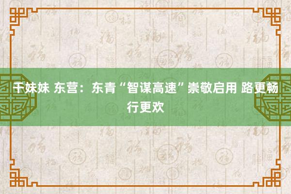 干妹妹 东营：东青“智谋高速”崇敬启用 路更畅行更欢