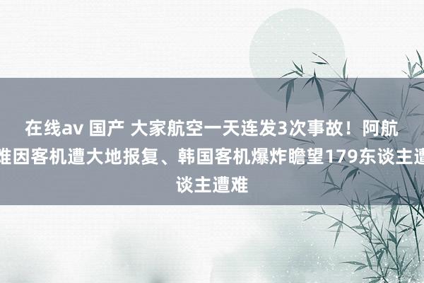 在线av 国产 大家航空一天连发3次事故！阿航空难因客机遭大地报复、韩国客机爆炸瞻望179东谈主遭难