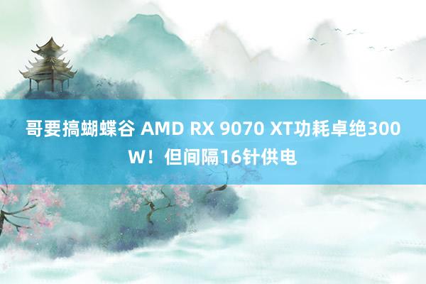 哥要搞蝴蝶谷 AMD RX 9070 XT功耗卓绝300W！但间隔16针供电