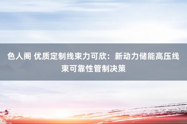 色人阁 优质定制线束力可欣：新动力储能高压线束可靠性管制决策