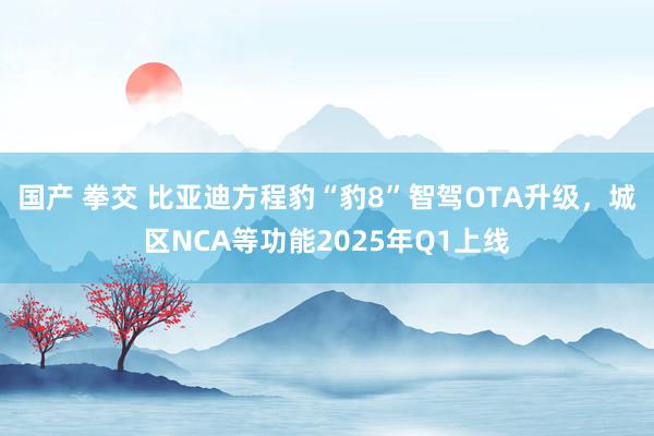 国产 拳交 比亚迪方程豹“豹8”智驾OTA升级，城区NCA等功能2025年Q1上线