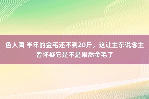 色人阁 半年的金毛还不到20斤，这让主东说念主皆怀疑它是不是果然金毛了