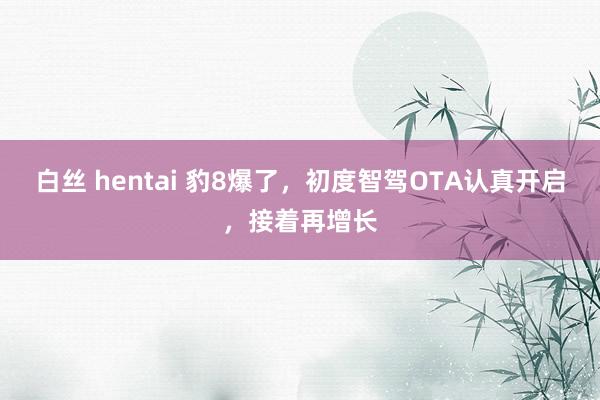 白丝 hentai 豹8爆了，初度智驾OTA认真开启，接着再增长