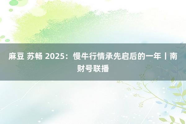 麻豆 苏畅 2025：慢牛行情承先启后的一年丨南财号联播