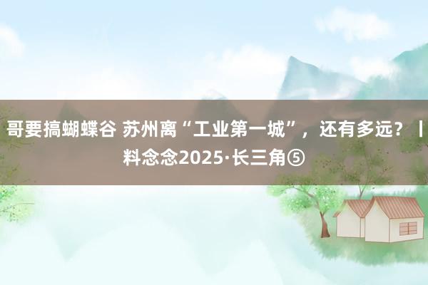 哥要搞蝴蝶谷 苏州离“工业第一城”，还有多远？丨料念念2025·长三角⑤