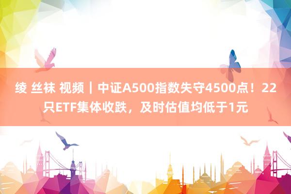 绫 丝袜 视频｜中证A500指数失守4500点！22只ETF集体收跌，及时估值均低于1元