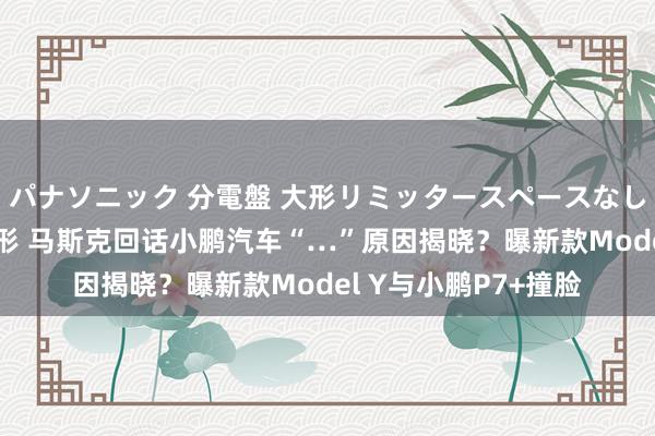 パナソニック 分電盤 大形リミッタースペースなし 露出・半埋込両用形 马斯克回话小鹏汽车“…”原因揭晓？曝新款Model Y与小鹏P7+撞脸