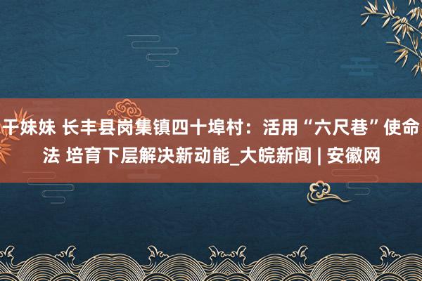 干妹妹 长丰县岗集镇四十埠村：活用“六尺巷”使命法 培育下层解决新动能_大皖新闻 | 安徽网