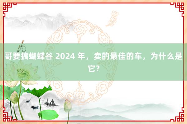 哥要搞蝴蝶谷 2024 年，卖的最佳的车，为什么是它？