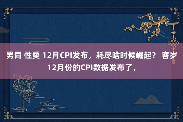 男同 性愛 12月CPI发布，耗尽啥时候崛起？ 客岁12月份的CPI数据发布了，