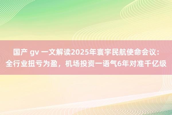 国产 gv 一文解读2025年寰宇民航使命会议：全行业扭亏为盈，机场投资一语气6年对准千亿级