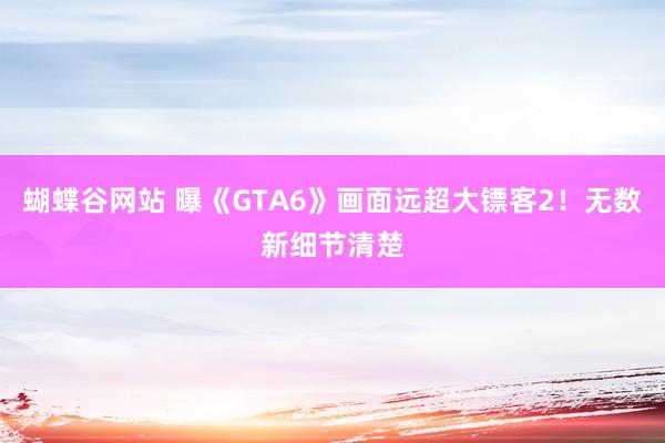 蝴蝶谷网站 曝《GTA6》画面远超大镖客2！无数新细节清楚