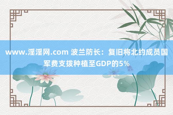 www.淫淫网.com 波兰防长：复旧将北约成员国军费支拨种植至GDP的5%