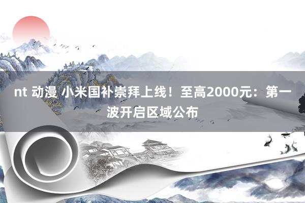 nt 动漫 小米国补崇拜上线！至高2000元：第一波开启区域公布