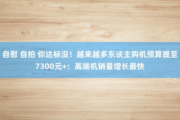 自慰 自拍 你达标没！越来越多东谈主购机预算提至7300元+：高端机销量增长最快