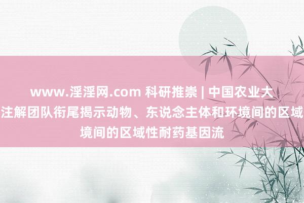 www.淫淫网.com 科研推崇 | 中国农业大学胡永飞说明注解团队衔尾揭示动物、东说念主体和环境间的区域性耐药基因流