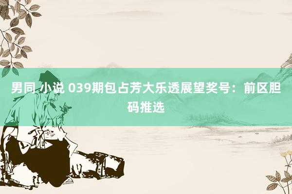 男同 小说 039期包占芳大乐透展望奖号：前区胆码推选